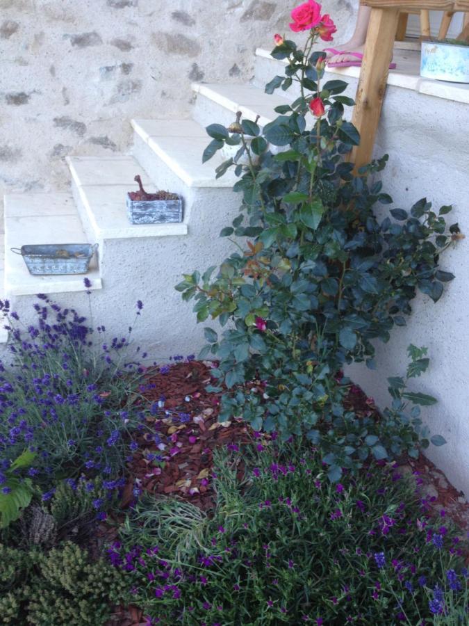 Le Domaine Des Terres Vila Saint-Appolinaire  Exterior foto